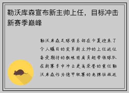 勒沃库森宣布新主帅上任，目标冲击新赛季巅峰